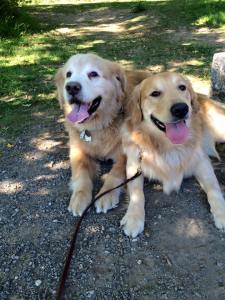 11149581_1248514108507549_8863851292036524167_n