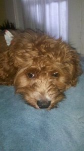 216993_255546081137695_2301004_n