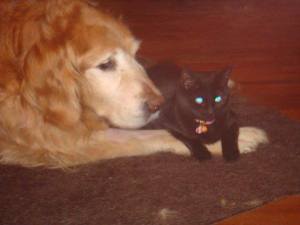 1011329_693951043963861_1226818186_n