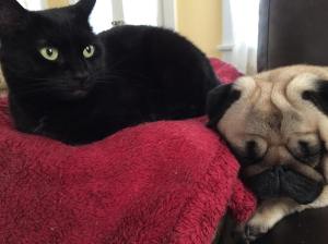 10498100_1101274639898164_9094384499990826564_o