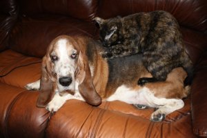 26821_117682051590766_4721353_n