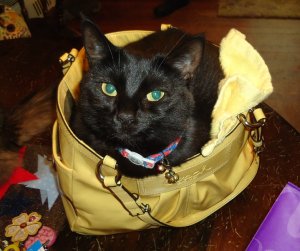 39810_146927575332880_7519246_n